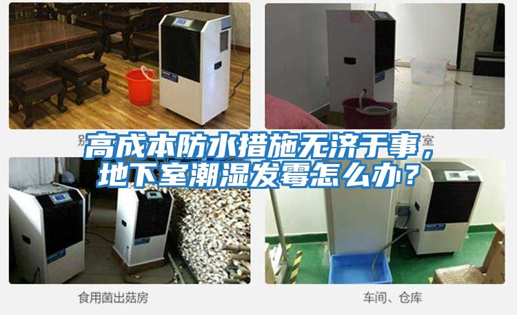 高成本防水措施無(wú)濟于事，地下室潮濕發(fā)霉怎么辦？