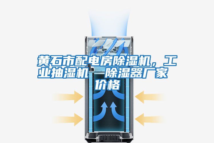 黃石市配電房除濕機，工業(yè)抽濕機  除濕器廠(chǎng)家 價(jià)格