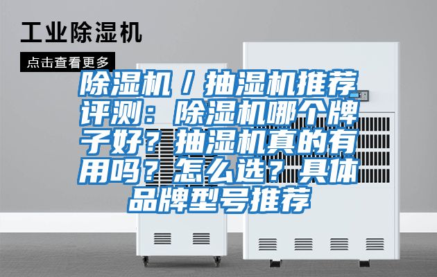 除濕機／抽濕機推薦評測：除濕機哪個(gè)牌子好？抽濕機真的有用嗎？怎么選？具體品牌型號推薦