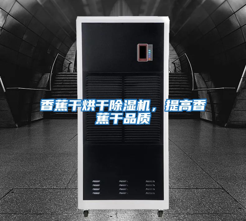 香蕉干烘干除濕機，提高香蕉干品質(zhì)