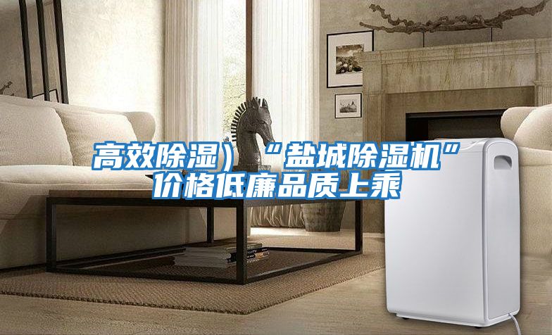 高效除濕）“鹽城除濕機”價(jià)格低廉品質(zhì)上乘