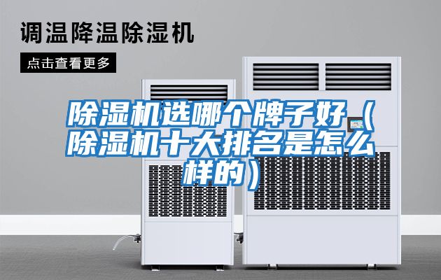 除濕機選哪個(gè)牌子好（除濕機十大排名是怎么樣的）