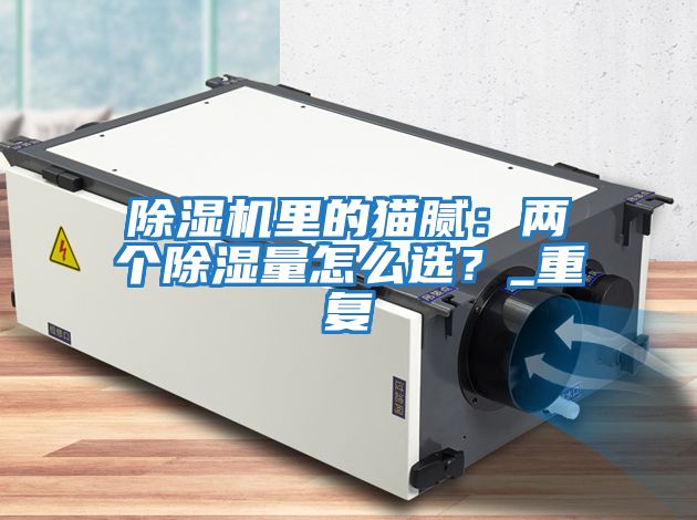 除濕機里的貓膩：兩個(gè)除濕量怎么選？_重復