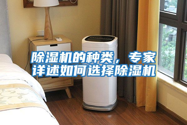 除濕機的種類(lèi)，專(zhuān)家詳述如何選擇除濕機