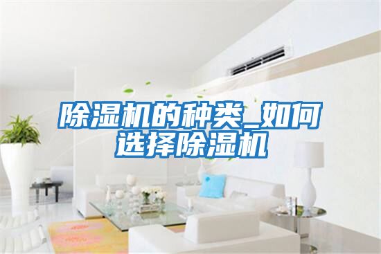 除濕機的種類(lèi)_如何選擇除濕機
