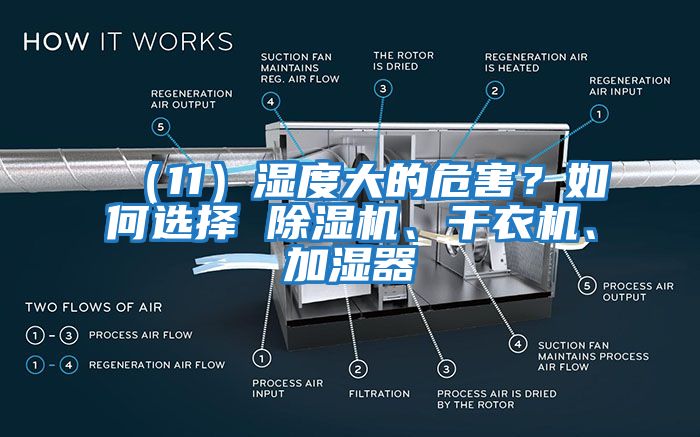 （11）濕度大的危害？如何選擇 除濕機、干衣機、加濕器