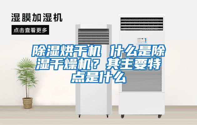 除濕烘干機 什么是除濕干燥機？其主要特點(diǎn)是什么
