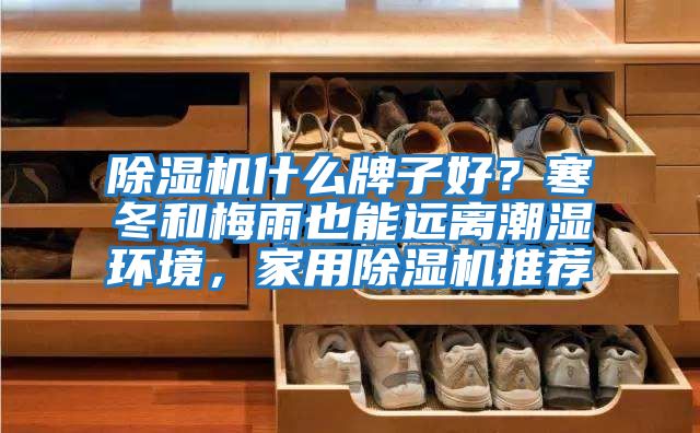 除濕機什么牌子好？寒冬和梅雨也能遠離潮濕環(huán)境，家用除濕機推薦