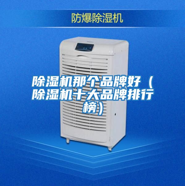 除濕機那個(gè)品牌好（除濕機十大品牌排行榜）