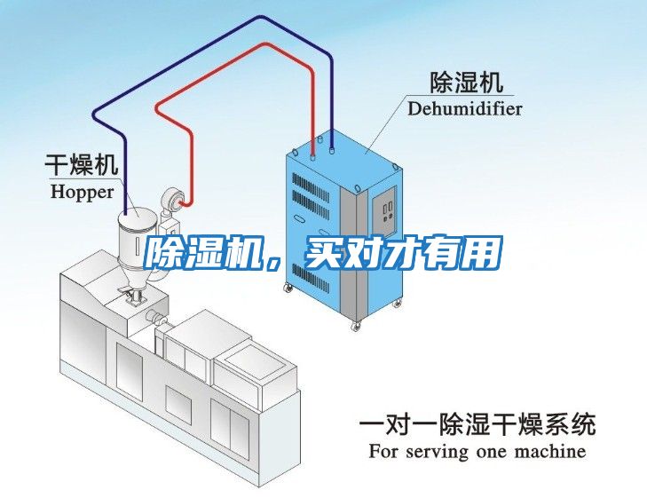 除濕機，買(mǎi)對才有用