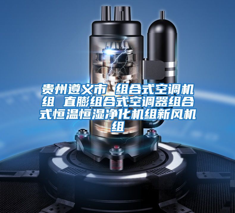貴州遵義市 組合式空調機組 直膨組合式空調器組合式恒溫恒濕凈化機組新風(fēng)機組