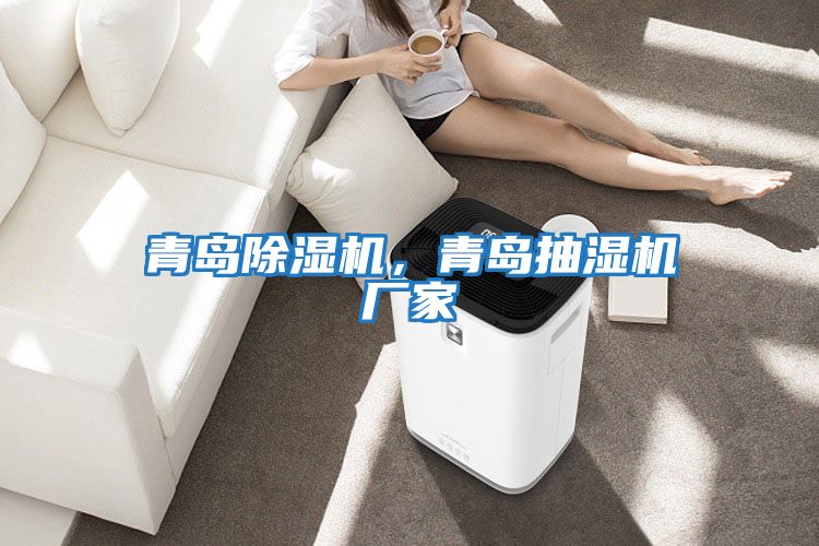青島除濕機，青島抽濕機廠(chǎng)家
