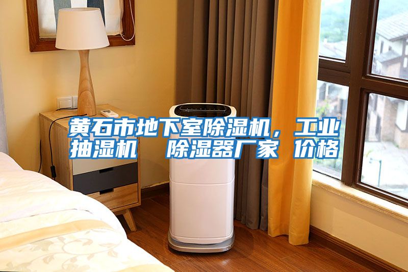 黃石市地下室除濕機，工業(yè)抽濕機  除濕器廠(chǎng)家 價(jià)格
