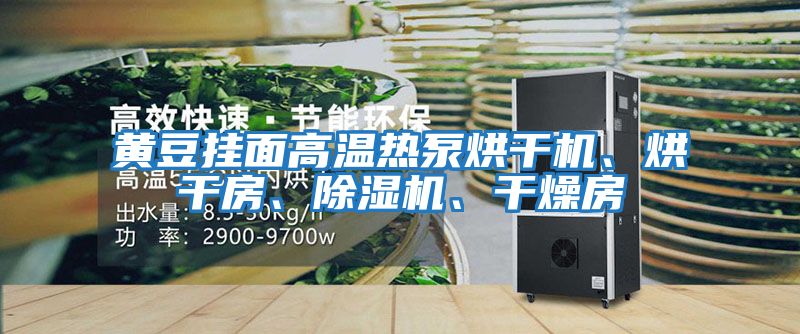 黃豆掛面高溫熱泵烘干機、烘干房、除濕機、干燥房