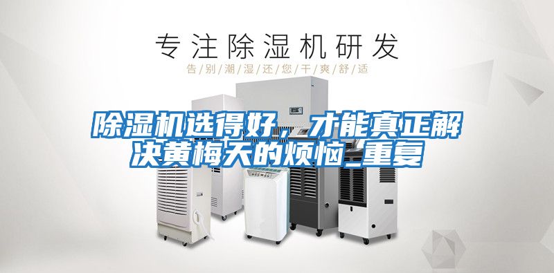除濕機選得好，才能真正解決黃梅天的煩惱_重復