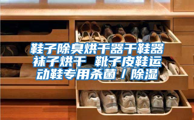 鞋子除臭烘干器干鞋器襪子烘干 靴子皮鞋運動(dòng)鞋專(zhuān)用殺菌/除濕