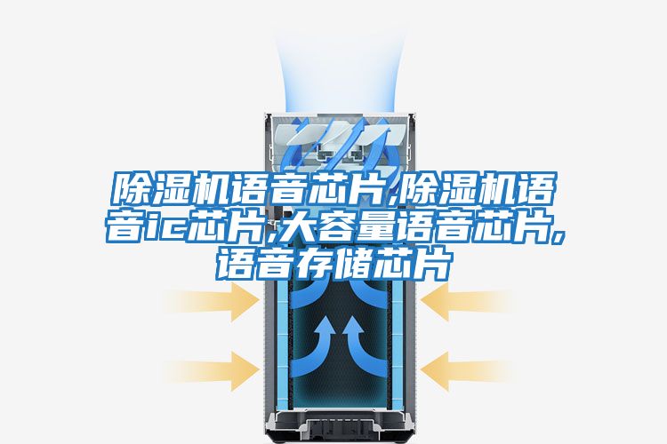 除濕機語(yǔ)音芯片,除濕機語(yǔ)音ic芯片,大容量語(yǔ)音芯片,語(yǔ)音存儲芯片