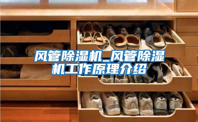 風(fēng)管除濕機_風(fēng)管除濕機工作原理介紹