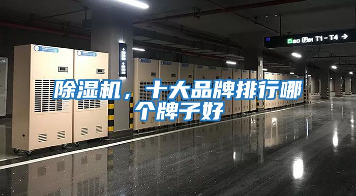除濕機，十大品牌排行哪個(gè)牌子好