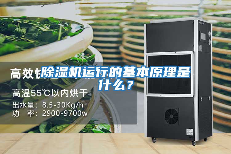 除濕機運行的基本原理是什么？