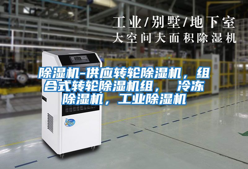 除濕機-供應轉輪除濕機，組合式轉輪除濕機組， 冷凍除濕機，工業(yè)除濕機