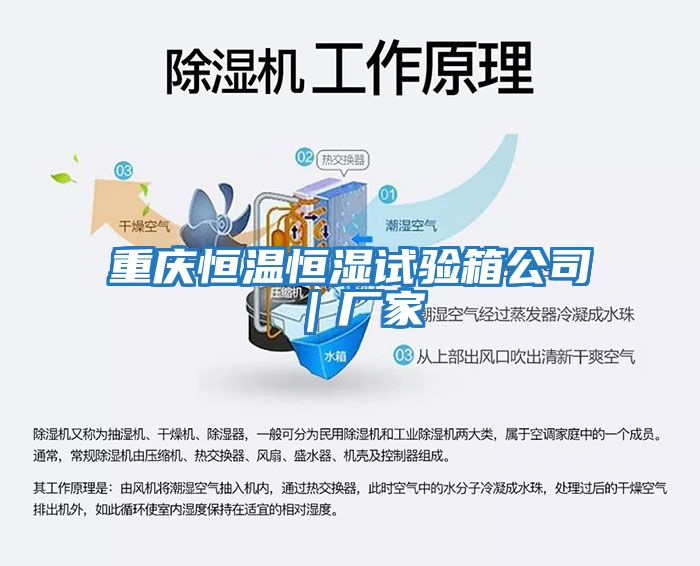 重慶恒溫恒濕試驗箱公司｜廠(chǎng)家