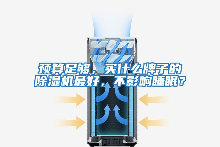 預算足夠，買(mǎi)什么牌子的除濕機最好，不影響睡眠？
