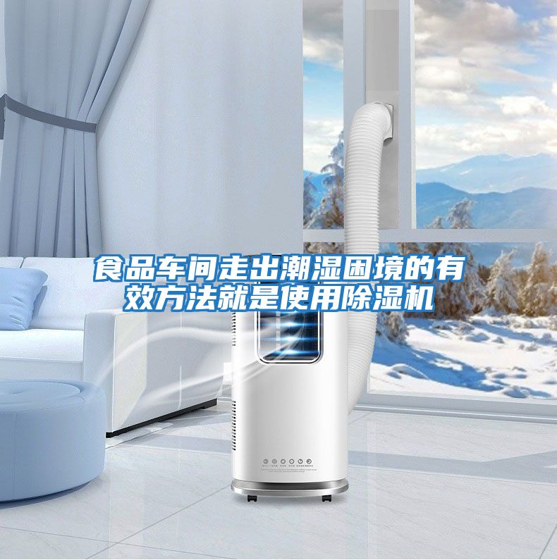 食品車(chē)間走出潮濕困境的有效方法就是使用除濕機