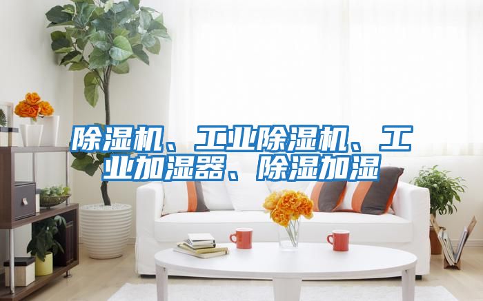 除濕機、工業(yè)除濕機、工業(yè)加濕器、除濕加濕